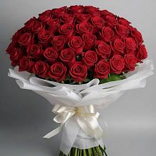 Букет 101 Красная роза Блэк Мэджик в Иланском