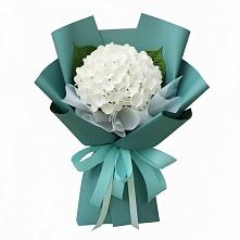 Букет цветов из:  Гортензия в Иланском